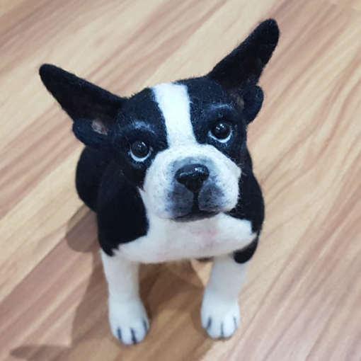 Boston Terrier Puppy, Custom Needle Felted Dog Portrait