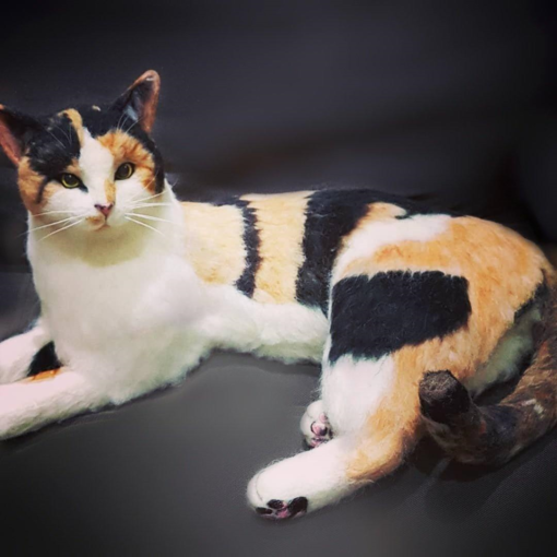 Needle Felting Cat Calico | Wool Felted Cat Portrait