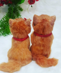 IMG 20210610 173227 141