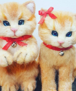 IMG 20210610 173227 692