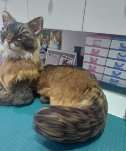 WhatsApp Image 2024 02 08 at 18.16.58 1