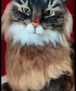 WhatsApp Image 2024 02 17 at 22.25.35 2