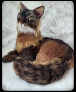 WhatsApp Image 2024 02 17 at 22.25.35