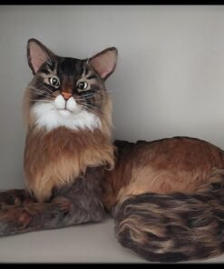 WhatsApp Image 2024 02 17 at 22.25.36