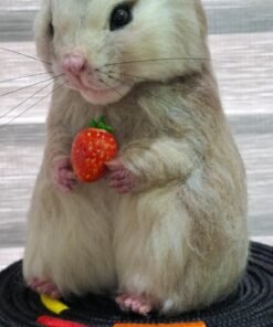 WhatsApp Image 2024 06 09 at 08.28.45 2