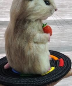 WhatsApp Image 2024 06 09 at 08.28.46