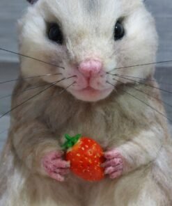 WhatsApp Image 2024 06 09 at 08.30.03 1