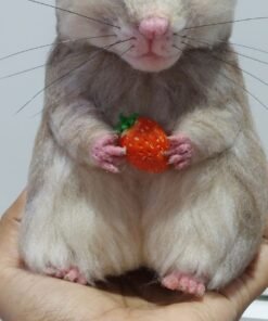 WhatsApp Image 2024 06 09 at 08.30.04