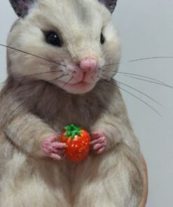 WhatsApp Image 2024 06 09 at 08.30.05 1