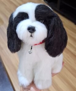 WhatsApp Image 2024 09 05 at 08.27.32