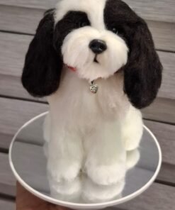 WhatsApp Image 2024 09 05 at 08.27.33 2