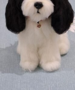 WhatsApp Image 2024 09 05 at 08.27.34 2