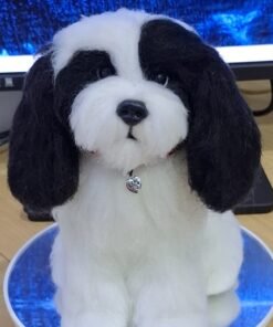 WhatsApp Image 2024 09 05 at 08.27.34