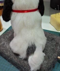 WhatsApp Image 2024 09 05 at 08.27.35