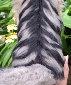 WhatsApp Image 2024 09 05 at 08.28.42 1