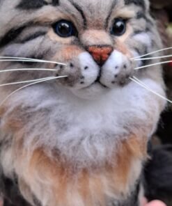 WhatsApp Image 2024 09 05 at 08.28.44 2