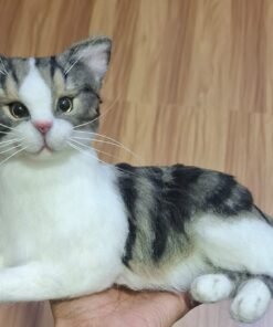 WhatsApp Image 2024 11 20 at 22.25.08