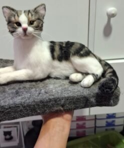 WhatsApp Image 2024 11 20 at 22.25.09 1