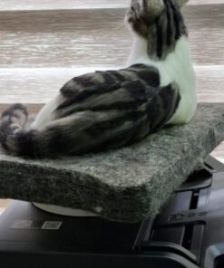 WhatsApp Image 2024 11 20 at 22.25.09 2