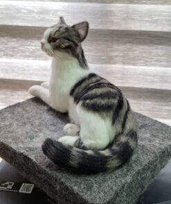 WhatsApp Image 2024 11 20 at 22.25.10