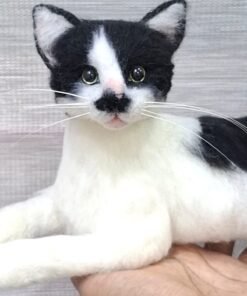 WhatsApp Image 2025 01 29 at 07.36.31