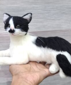 WhatsApp Image 2025 01 29 at 07.36.32