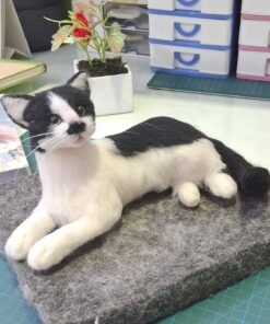 WhatsApp Image 2025 01 29 at 07.36.35 1