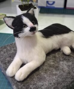 WhatsApp Image 2025 01 29 at 07.36.36 2