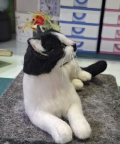 WhatsApp Image 2025 01 29 at 07.36.36