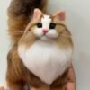 Needle-felted mini kitty